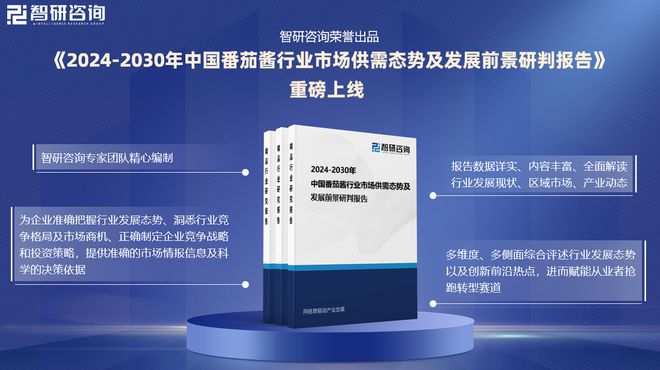 状分析及发展趋势预测报告（智研咨询）麻将胡了2024年中国番茄酱行业现(图2)