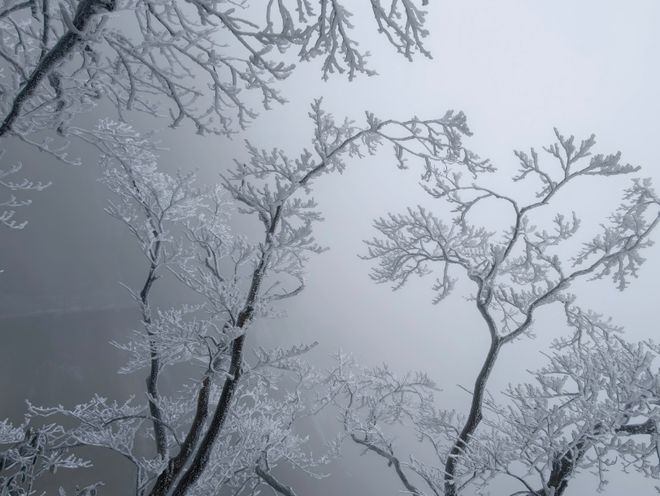 降雪刷爆朋友圈冬天的雾凇雪景比北方更有韵味PG麻将胡了免费试