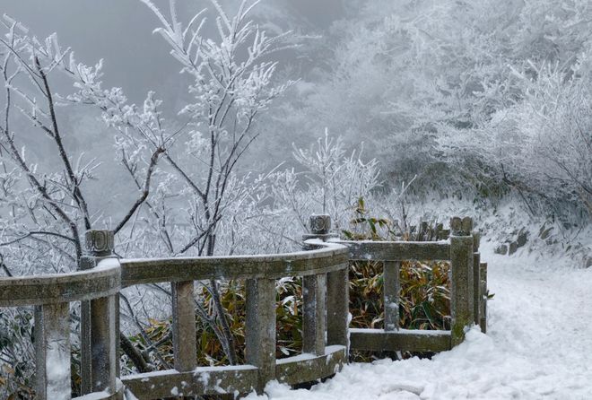 降雪刷爆朋友圈冬天的雾凇雪景比北方更有韵味PG麻将胡了免费试玩模拟器天柱山元旦首场(图4)