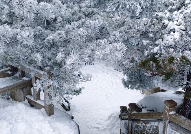 降雪刷爆朋友圈冬天的雾凇雪景比北方更有韵味PG麻将胡了免费试玩模拟器天柱山元旦首场(图7)